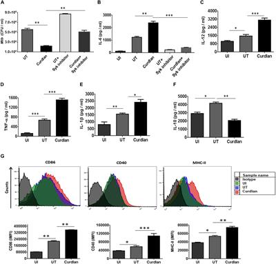 Curdlan Limits Mycobacterium tuberculosis Survival Through STAT-1 Regulated Nitric Oxide Production